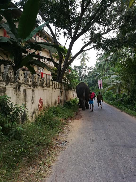 Guesthouse Dilush بيروفالا المظهر الخارجي الصورة